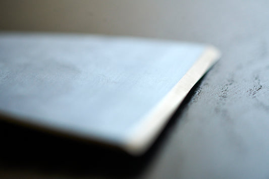 Staalmeester® Wide Scraper SC5 6.01.1042.00