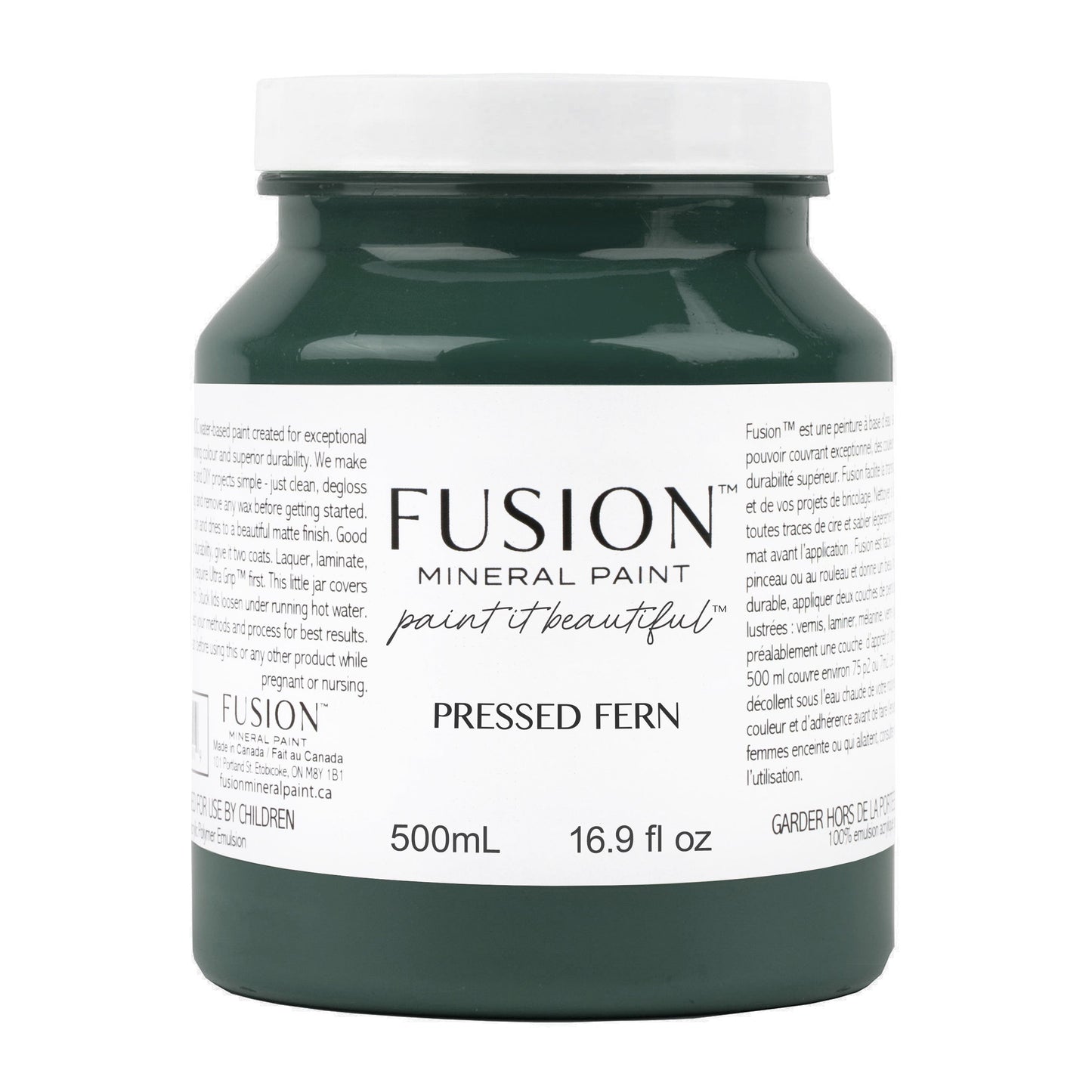Pressed Fern